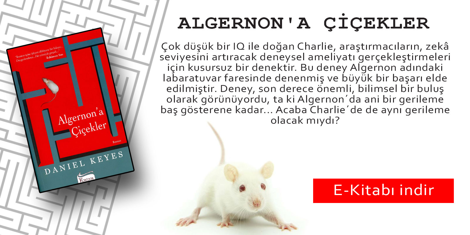 Daniel Keyes - Algernon'a Çiçekler E-Kitap