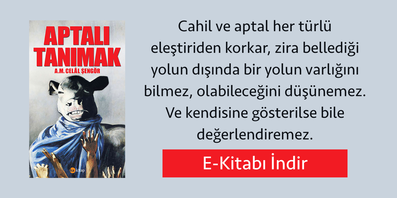 Celal Şengör - Aptalı Tanımak E-Kitap