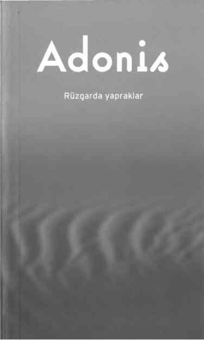 Rüzgarda Yapraklar kapağı