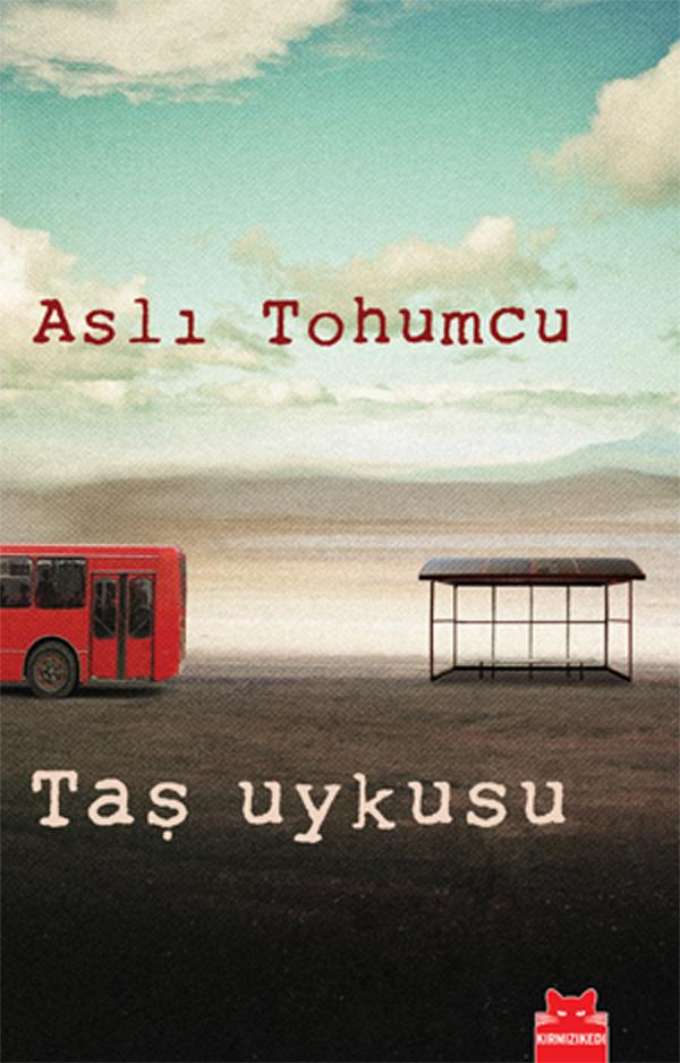 Taş Uykusu kapağı