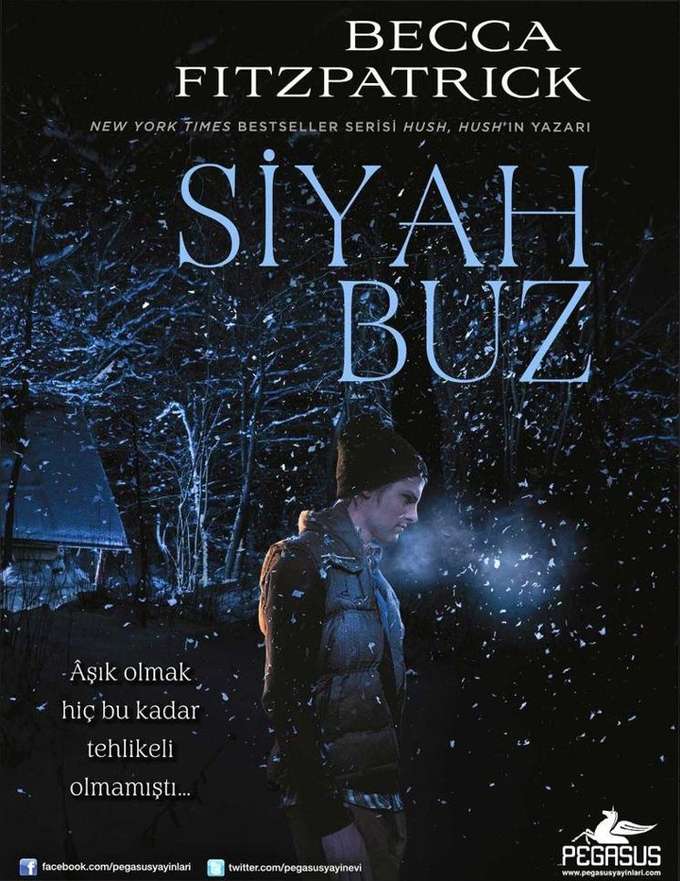 Siyah Buz kapağı