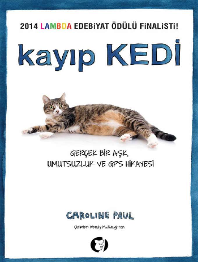 Kayıp Kedi kapağı