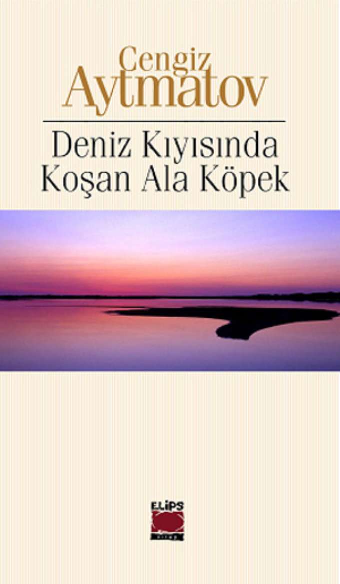 Deniz Kıyısında Koşan Ala Köpek kapağı
