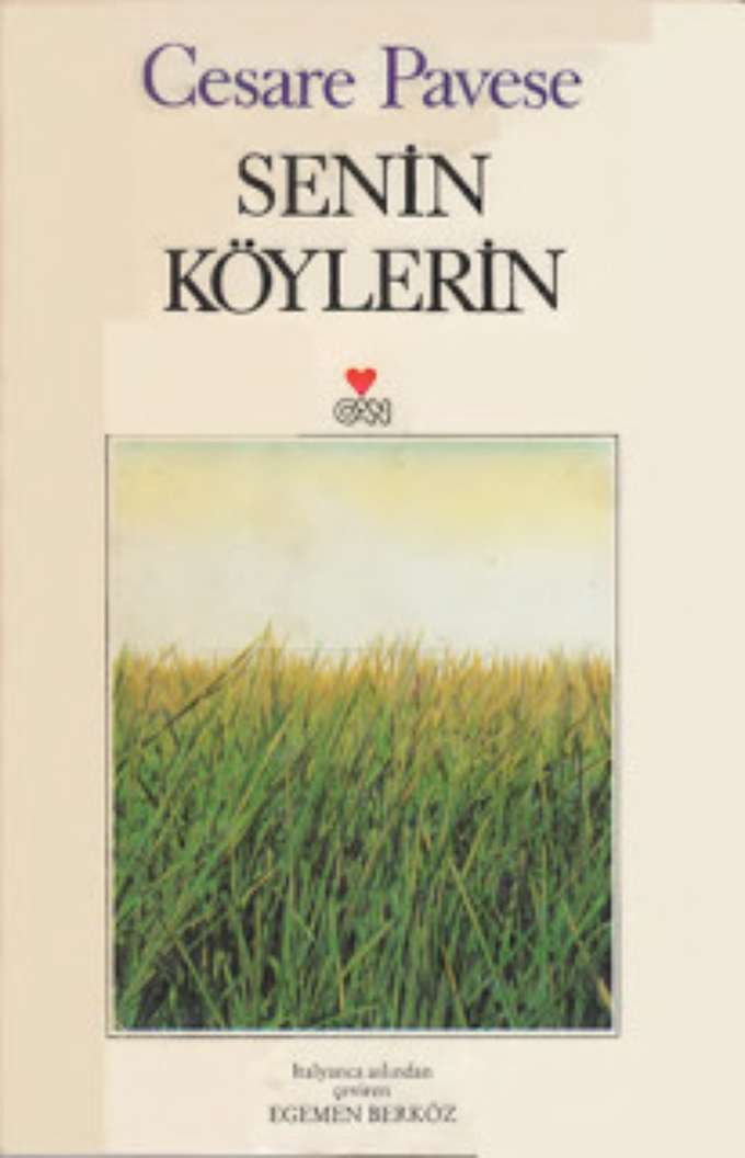 Senin Köylerin kapağı