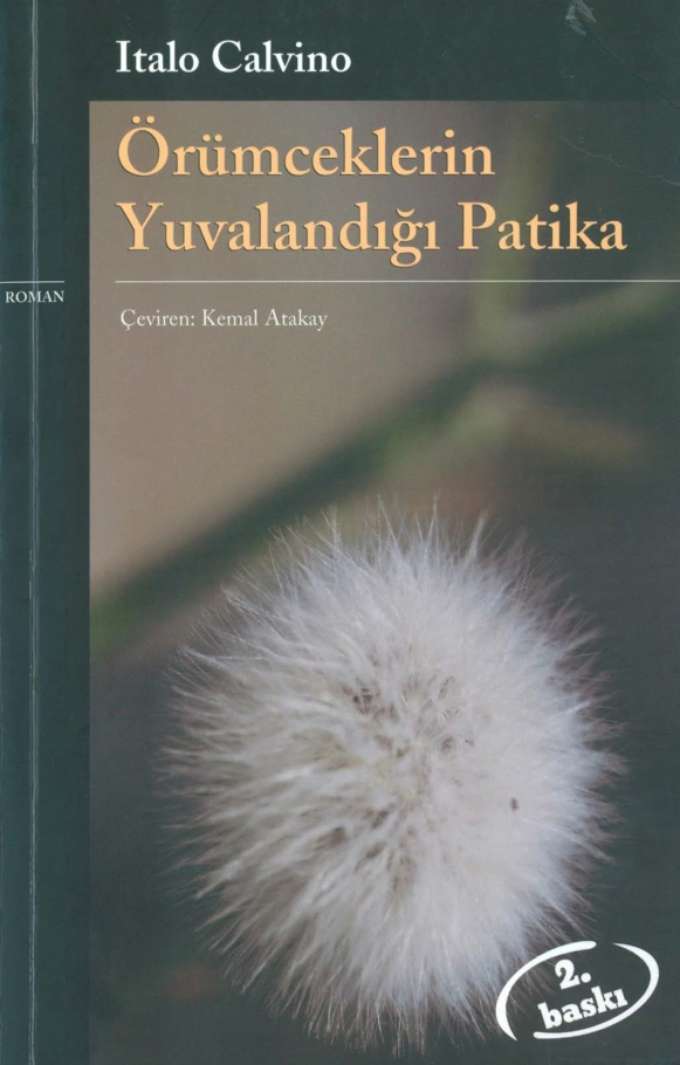 Örümceklerin Yuvalandığı Patika kapağı