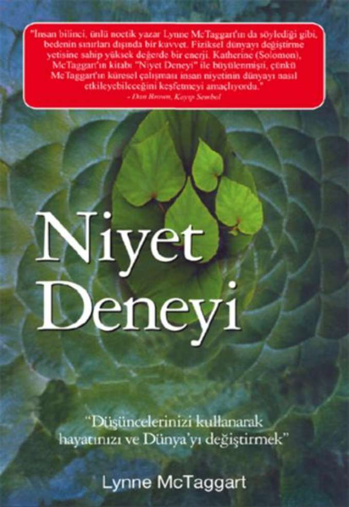 Niyet Deneyi kapağı