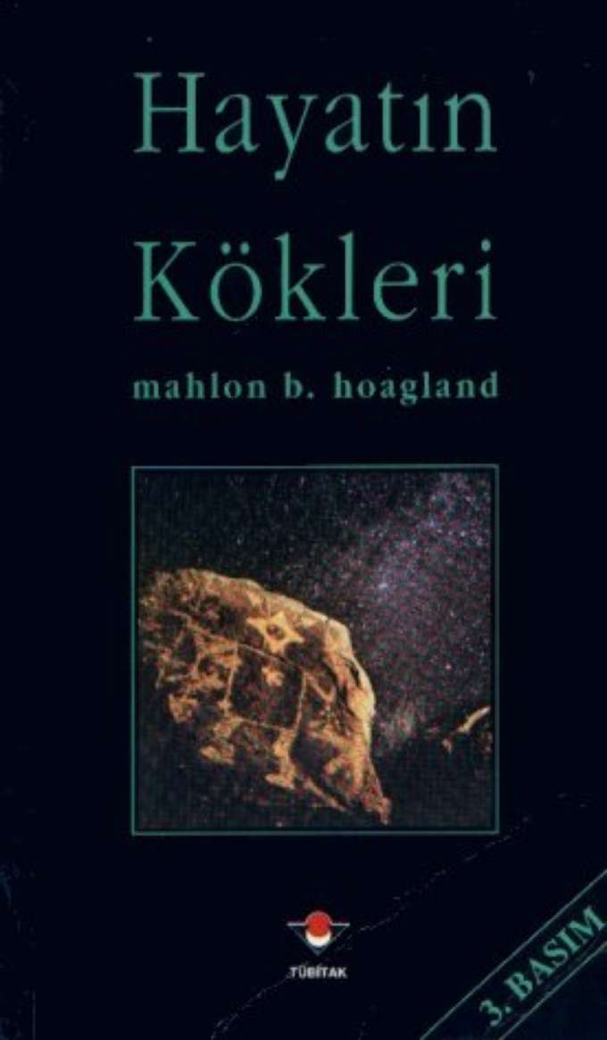 Hayatın Kökleri kapağı