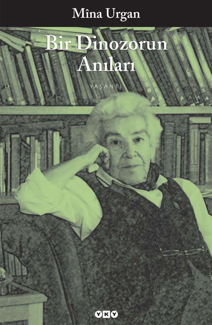 Bir Dinozorun Anıları kapağı