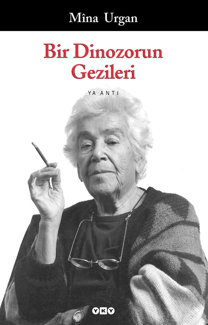 Bir Dinozorun Gezileri kapağı