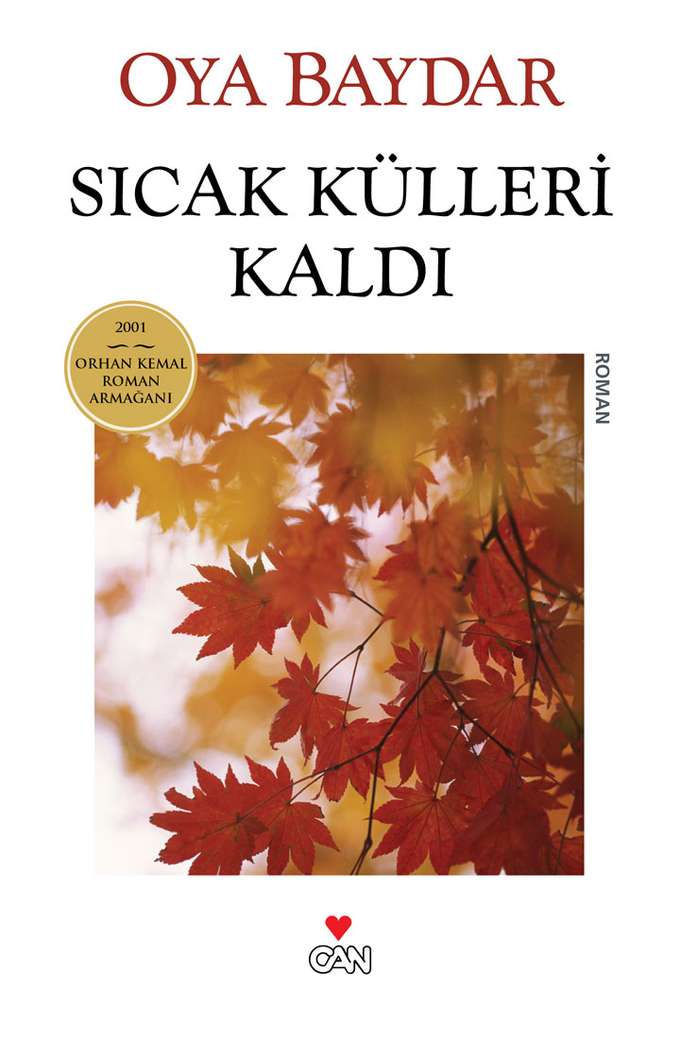 Sıcak Külleri Kaldı kapağı