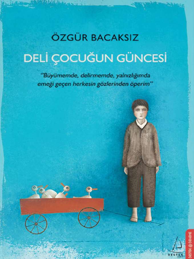 Deli Çocuğun Güncesi kapağı