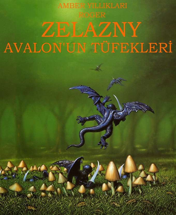 Avalon'un Tüfekleri kapağı