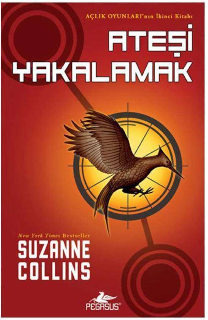 Ateşi Yakalamak kapağı