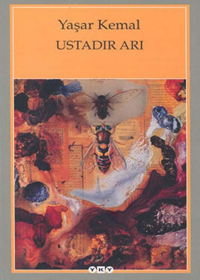 Ustadır Arı kapağı