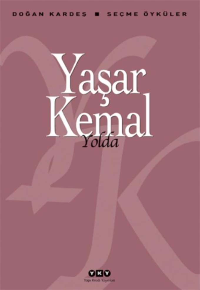 Yolda kapağı
