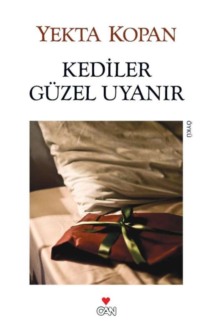 Kediler Güzel Uyanır kapağı